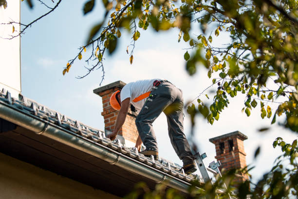 Best Roof Maintenance Services  in Twin Lake, MI
