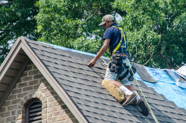 Best New Roof Installation  in Twin Lake, MI